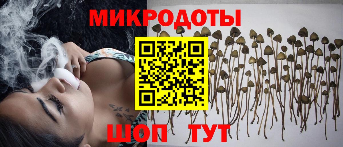 Псилоцибиновые грибы мицелий Нальчик