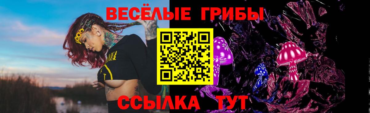 Псилоцибиновые грибы MAGIC MUSHROOMS  Вход с VPN  Нальчик  Галлюциногенные грибы прущие грибы 